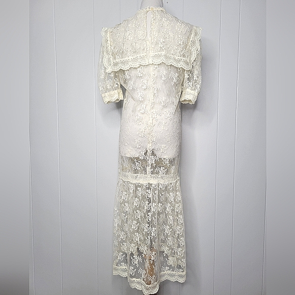 Vintage Lace Drop Waist Sheer Dress Nightgown Victorian Bridal Wedding Fairycore - Picture 5 of 14